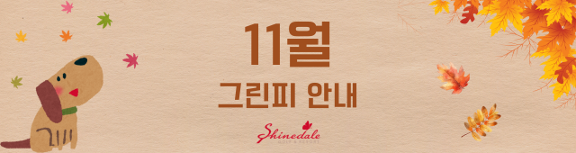 11월 그린피안내