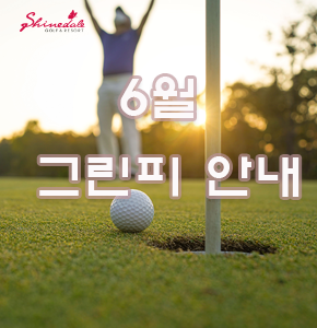 2024년 6월 그린피 안내