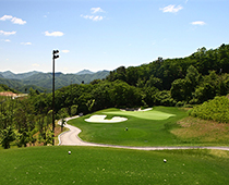 데일6번홀